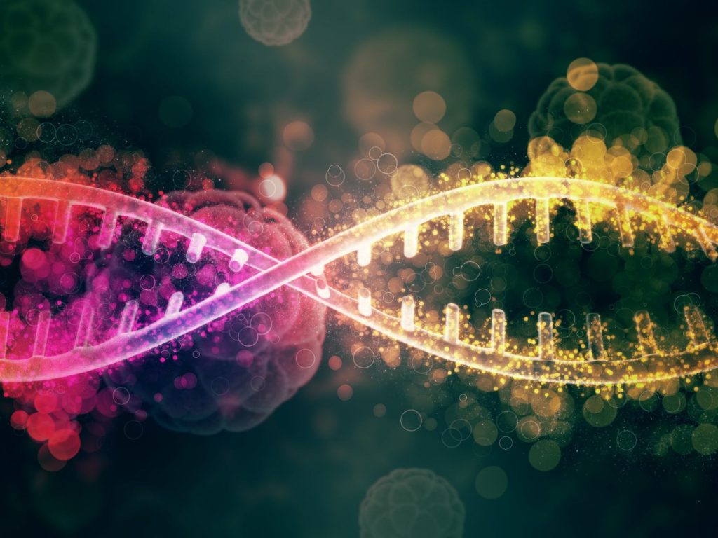 What Effects Does Cannabis Use Have On DNA?