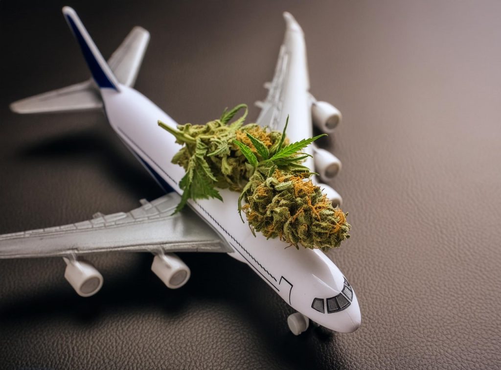 Things You Need To Know About Flying With Weed Vapes In Canada