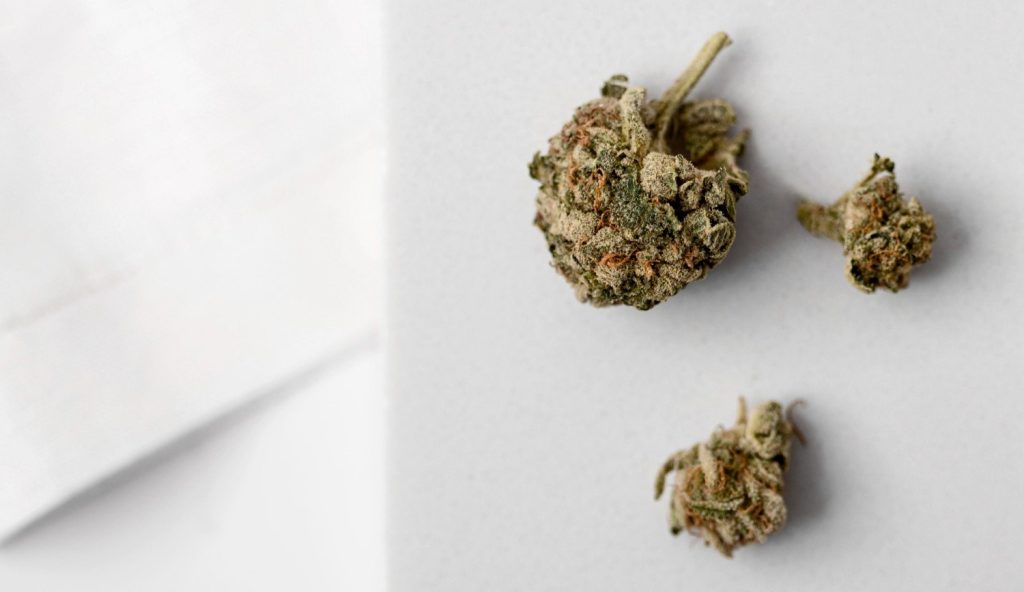 Top 5 Most Popular Cannabis Strains